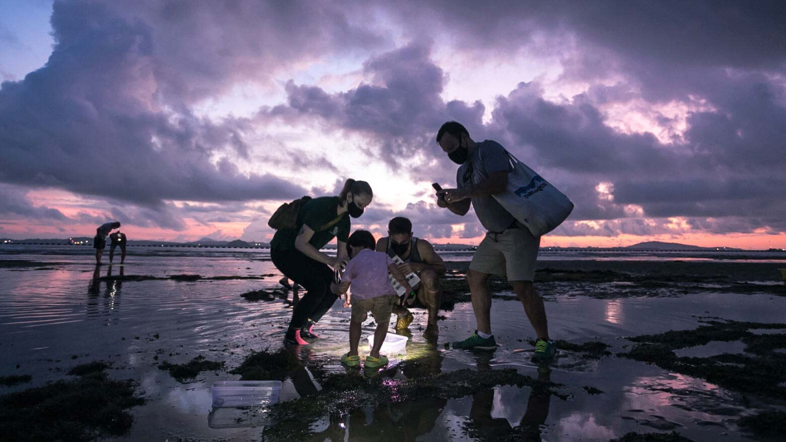 Intertidal Walking Trails at Changi Beach